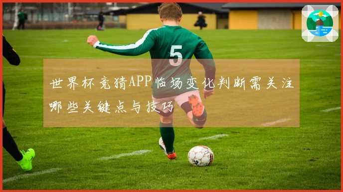 世界杯竞猜APP临场变化判断需关注哪些关键点与技巧